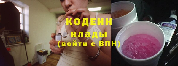 соль ск Тосно