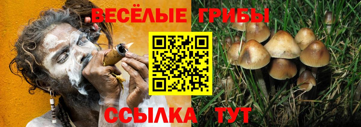 Галлюциногенные грибы Psilocybe  Псилоцибиновые грибы Psilocybine cubensis  Мыски  Вход с VPN 